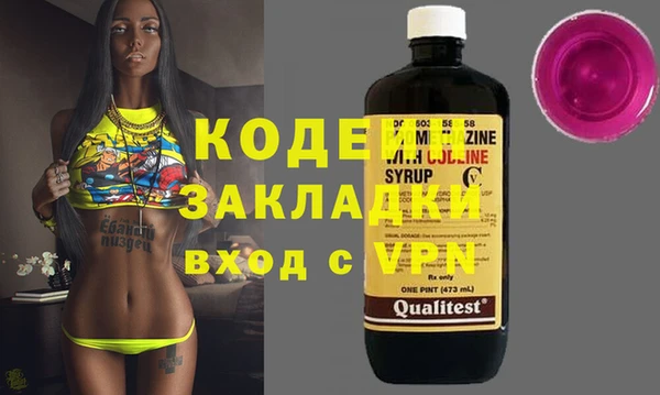 хмурый Алзамай