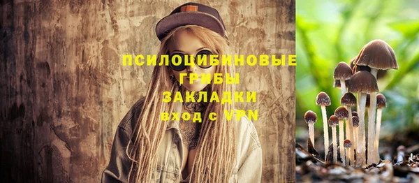 хмурый Алзамай